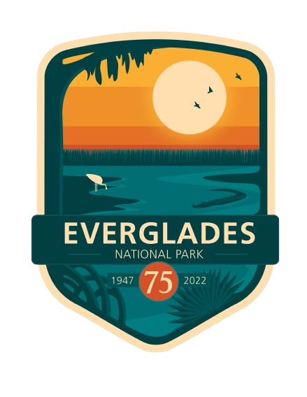 image Everglades