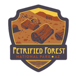 image Petrified forest